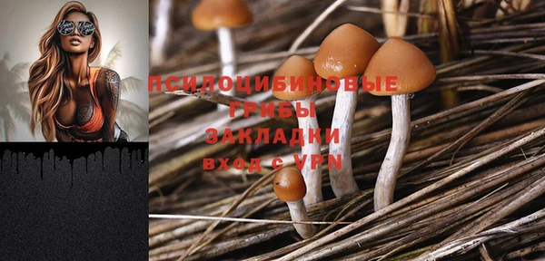 МДПВ Киреевск