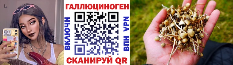 Купить  Белинский  Галлюциногенные грибы ЛСД 